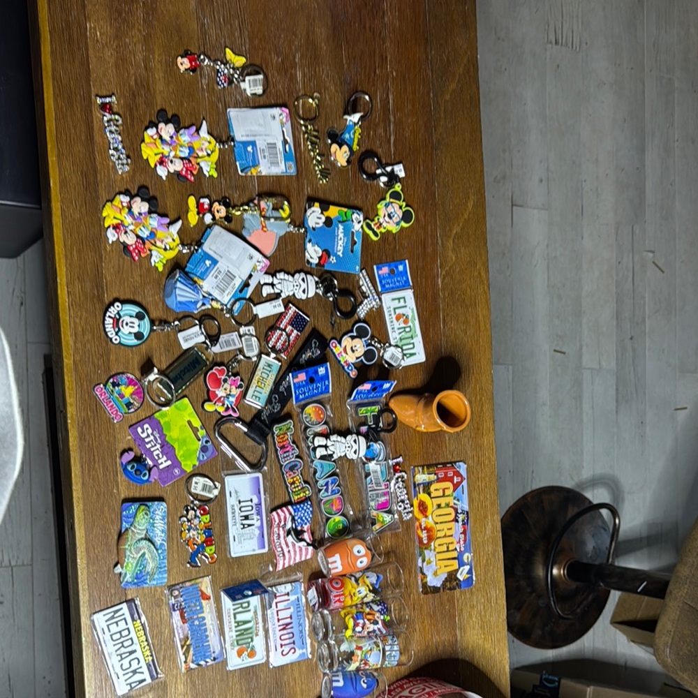 Disney Character and Travel Keychain Set